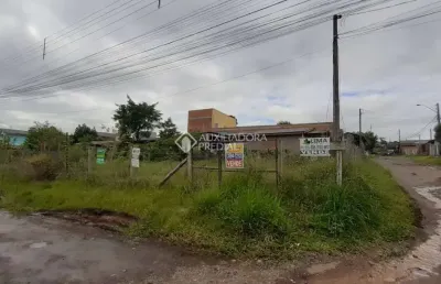 Terreno à venda na rua setembrino martins correa, 250, petrópolis, novo hamburgo, 546 m2 por r$ 250.000