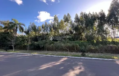 Terreno à venda na rua bento manoel, 526, operário, novo hamburgo, 7119 m2 por r$ 4.500.000