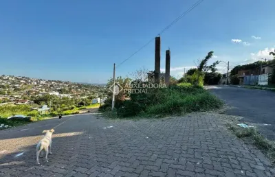 Terreno à venda na rua araçatuba, 14, são josé, novo hamburgo, 497 m2 por r$ 198.000