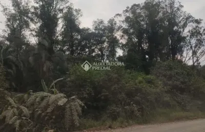 Fazenda à venda na do comércio, 00, barra do ouro, maquiné, 220000 m2 por r$ 700.000