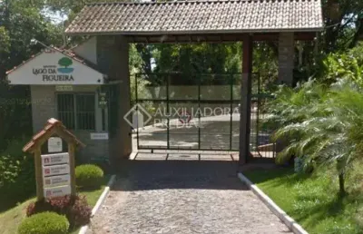 Terreno em condomínio fechado à venda na rua joão santana, 1467, campestre, são leopoldo, 2500 m2 por r$ 650.000