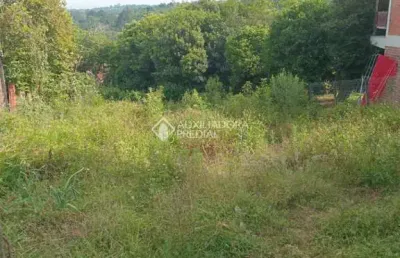 Terreno à venda na rua carmem miranda, 62, fazenda são borja, são leopoldo, 360 m2 por r$ 116.600