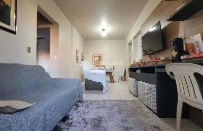Apartamento com 2 quartos à venda na rua madre maria vilac, 373, canasvieiras, florianópolis, 74 m2 por r$ 750.000