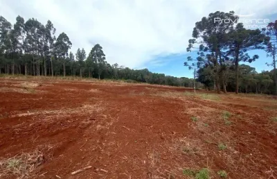 Chácara à venda, 937 m² por r$ 374.000,00 - zona industrial - cascavel/pr