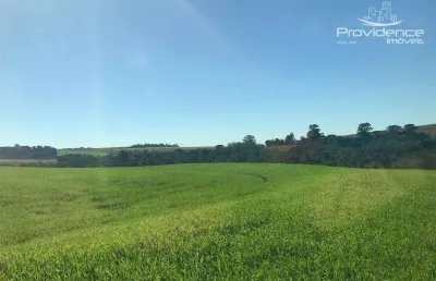 Sítio à venda, 3146000 m² por r$ 590.000,00 - rural - cascavel/pr