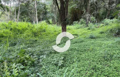 Terreno à venda, 1000 m² por r$ 125.000,00 - muriqui - niterói/rj
