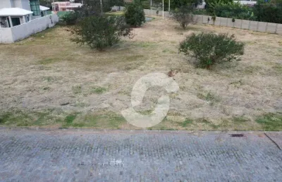 Terreno em condomínio fechado à venda na Rodovia Vereador Oldemar Guedes Figueiredo, Ubatiba, Maricá