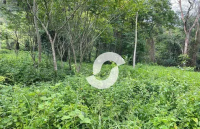 Terreno à venda, 1000 m² por r$ 120.000,00 - muriqui - niterói/rj