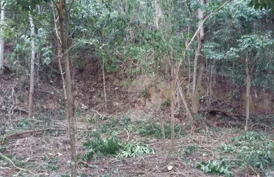 Terreno à venda, 750 m² por r$ 207.000,00 - serra grande - niterói/rj
