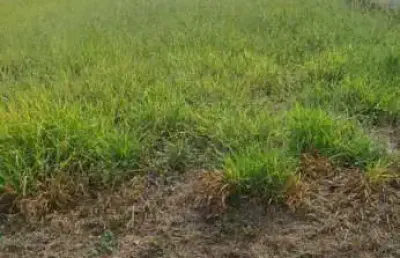 Terreno à venda na rua luiz levorato, jardim marabá, bauru, 450 m2 por r$ 250.000