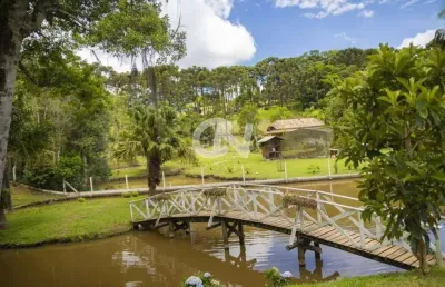 Chácara / sítio à venda no Centro, Campo Alegre 