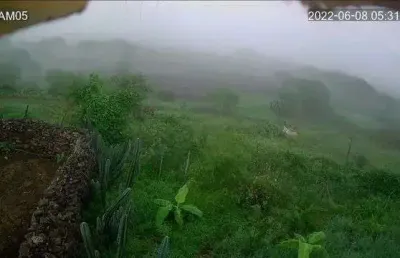 Área à venda, 480000 m² por r$ 3.000.000 - barra de santana - barra de santana/paraíba