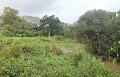 Terreno à venda, 20000 m² por r$ 350.000 - rural - itapororoca/pb