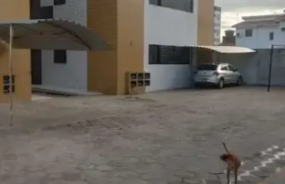 Apartamento com 2 dormitórios à venda por r$ 120.000 - muçumagro - joão pessoa/pb