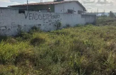 Terreno à venda, 275 m² por r$ 30.000,00 - planta de lucena - lucena/pb