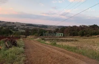 Terreno à venda, 4000 m² por r$ 310.000,00 - patrimônio regina - londrina/pr