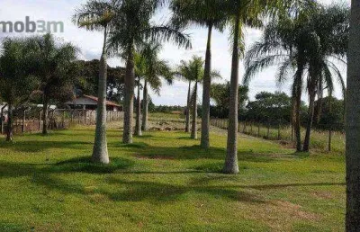 Terreno à venda, 2300 m² por r$ 1.700.000,00 - gleba palhano - londrina/pr