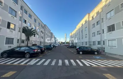 Apartamento com 2 quartos à venda na Rua São Salvador, 85, Costeira, São José dos Pinhais