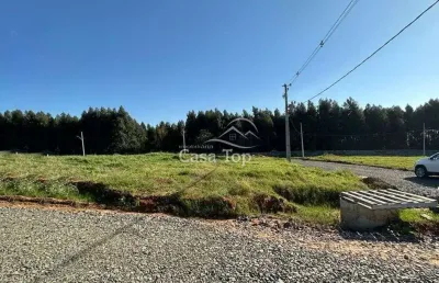 Terreno à venda no Colônia Dona LuÍza, Ponta Grossa 