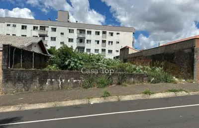 Terreno comercial à venda no Uvaranas, Ponta Grossa 