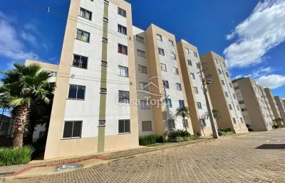 Apartamento para alugar condomínio jardim das araucárias - uvaranas