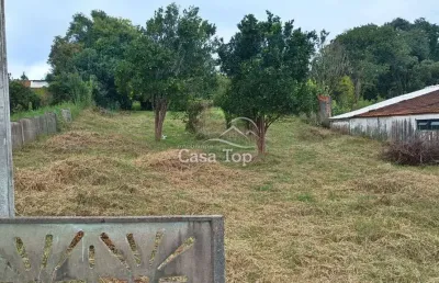 Terreno à venda no Vila São João, Irati 