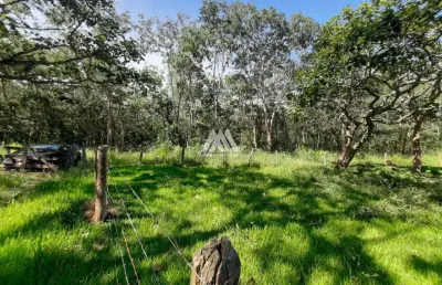 Vendo fazenda de 15 hectares em divinópolis com excelente localização!