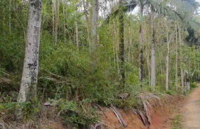Chácara / sítio à venda no encano do norte, indaial  por r$ 280.000