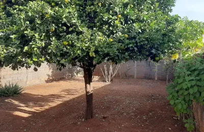 Casa com 4 quartos à venda no Custódio Pereira, Uberlândia 