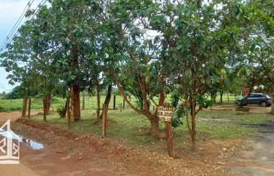 Chácara / sítio com 2 quartos à venda no Aponiã, Porto Velho 