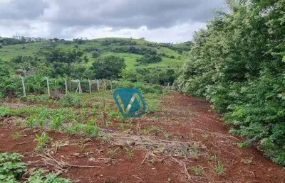 Terreno à venda, 1200 m² por r$ 95.000,00 - limoeiro - londrina/pr