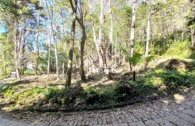 Terreno à venda, 1400 m² por r$ 150.000,00 - lumiar - nova friburgo/rj