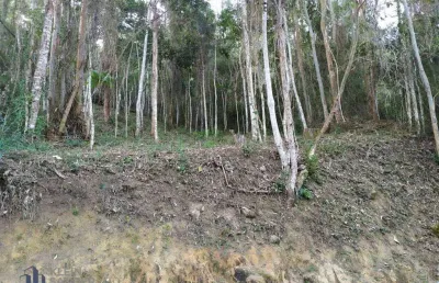 Terreno à venda, 792 m² por r$ 350.000,00 - cônego - nova friburgo/rj