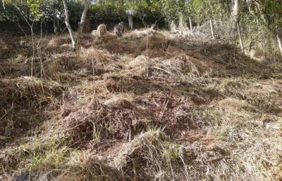 Terreno à venda, 495 m² por r$ 270.000,00 - cônego - nova friburgo/rj
