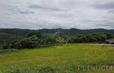 Terreno residencial à venda, monte alegre, vinhedo - te0010.