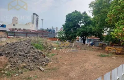 Terreno comercial à venda, vila itapura, campinas - te0335.