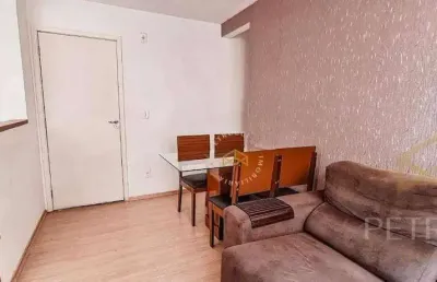 Apartamento residencial à venda, vila campos sales, campinas - ap3596.