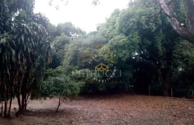 Chácara com 3 dormitórios à venda, 300 m² por r$ 1.750.000,00 - parque universitário de viracopos - campinas/sp