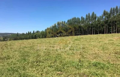 Terreno à venda, 4000 m² por r$ 2.000.000,00 - sousas - campinas/sp