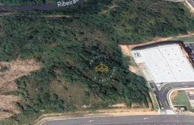Terreno à venda, 435 m² por r$ 7.099.443,00 - loteamento residencial arborais - campinas/sp