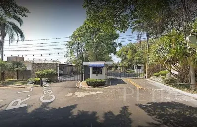 Terreno residencial à venda, jardim santana, campinas - te2245.