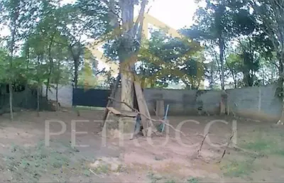 Terreno residencial à venda, chácara santa margarida, campinas - te2947.