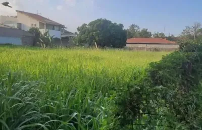 Terreno residencial à venda, jardim são carlos, campinas - te3019.