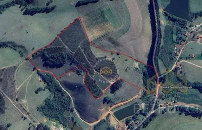 Sítio com 2 dormitórios à venda, 193600 m² por r$ 2.200.000,00 - bairro servinho - ouro fino/mg