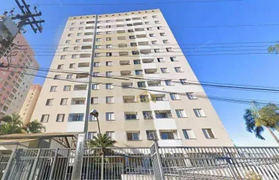 Apartamento com 3 dormitórios à venda, 55 m² - parque itália - campinas/sp