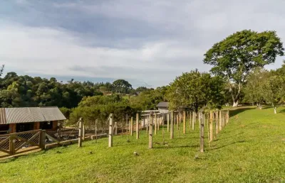 Chácara / sítio com 2 quartos à venda na hermes candido de sa, 115, colônia marcelino, são josé dos pinhais por r$ 995.000