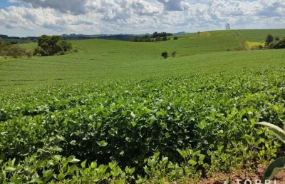 Chácara / sítio à venda na Sp-139, 100, Centro, São Miguel Arcanjo