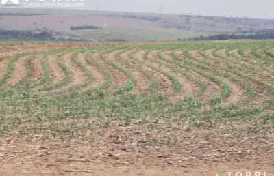 Chácara / sítio com 5 quartos à venda na ÁRea Rural, 100, Centro, Santa Maria da Serra