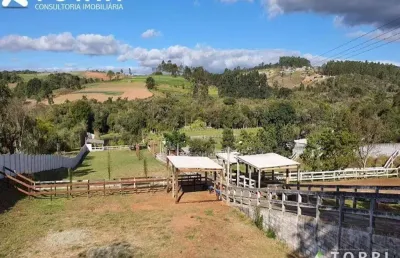 Chácara / sítio com 7 quartos à venda na Rua Bem-te-vi, 100, Campo Verde, Ibiúna