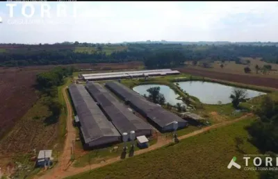 Sítio rural à venda, aleluia, cesário lange - si0160.